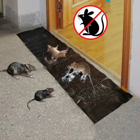 MOUSE TRAP